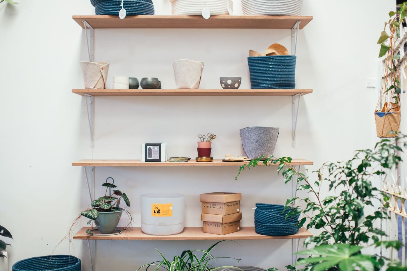 Wall-mounted wooden shelves holding bowls, jars and baskets among green plants beside a window