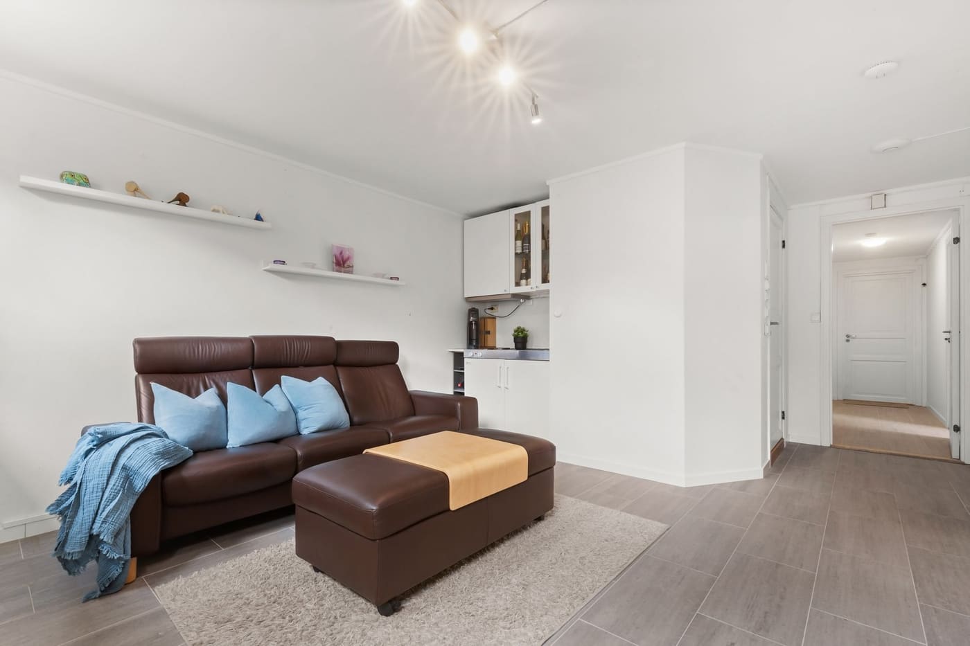 Bright living room with a brown sofa, a storage ottoman, wall shelves and a light rug